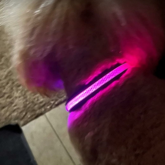 Mutovlin Light Up Bluetooth APP Multiple RGB Colors Led Dog Collar Size Large - Picture 6 of 12